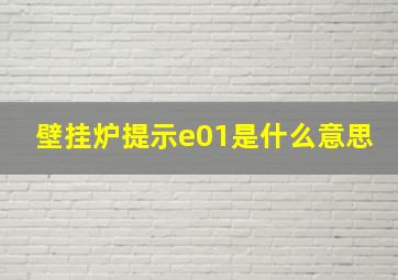 壁挂炉提示e01是什么意思