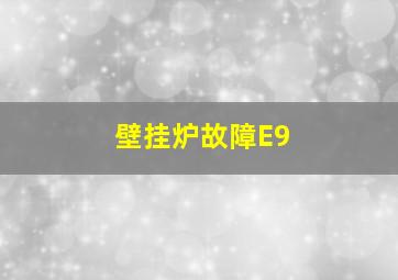 壁挂炉故障E9