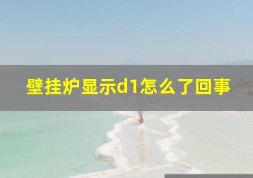 壁挂炉显示d1怎么了回事