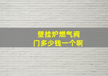 壁挂炉燃气阀门多少钱一个啊