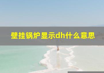 壁挂锅炉显示dh什么意思