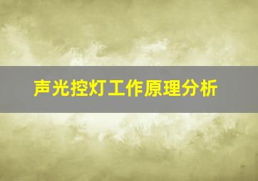 声光控灯工作原理分析