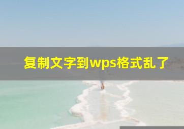 复制文字到wps格式乱了