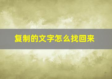 复制的文字怎么找回来