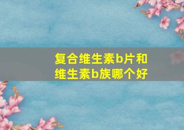 复合维生素b片和维生素b族哪个好