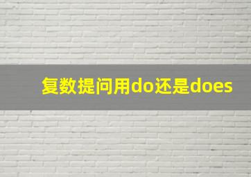 复数提问用do还是does