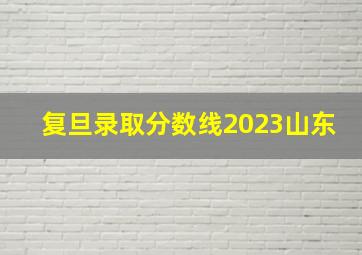 复旦录取分数线2023山东