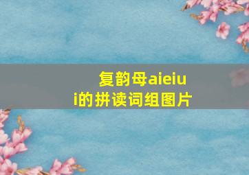 复韵母aieiui的拼读词组图片