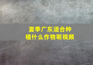 夏季广东适合种植什么作物呢视频