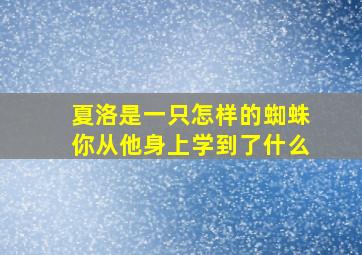 夏洛是一只怎样的蜘蛛你从他身上学到了什么