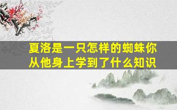 夏洛是一只怎样的蜘蛛你从他身上学到了什么知识