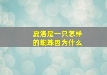 夏洛是一只怎样的蜘蛛因为什么