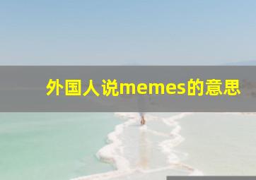 外国人说memes的意思