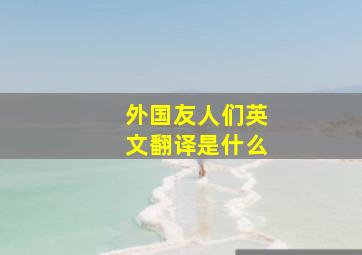 外国友人们英文翻译是什么