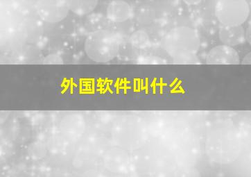 外国软件叫什么