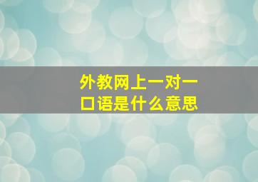 外教网上一对一口语是什么意思