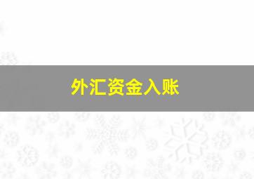 外汇资金入账