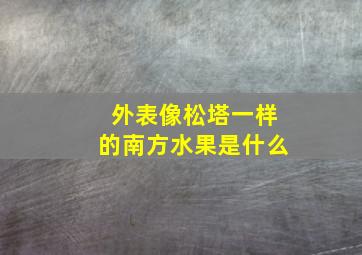 外表像松塔一样的南方水果是什么