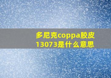 多尼克coppa胶皮13073是什么意思