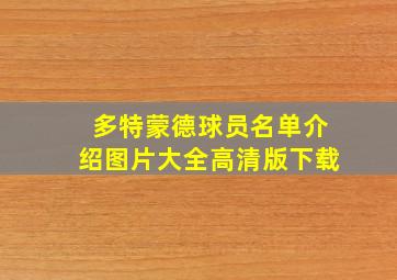 多特蒙德球员名单介绍图片大全高清版下载