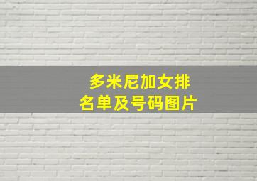 多米尼加女排名单及号码图片