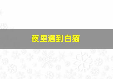 夜里遇到白猫