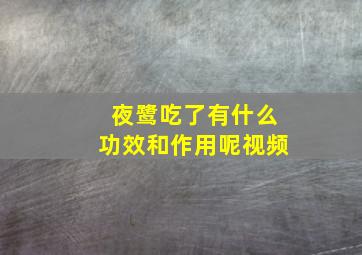 夜鹭吃了有什么功效和作用呢视频