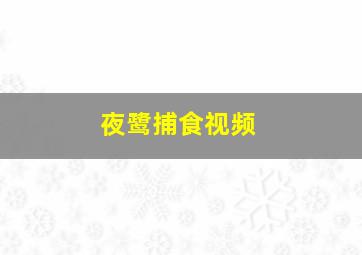 夜鹭捕食视频