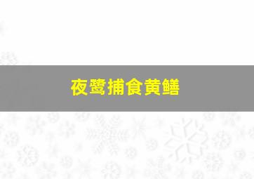 夜鹭捕食黄鳝