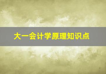 大一会计学原理知识点