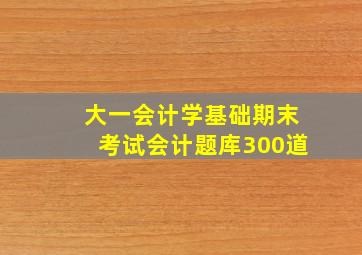 大一会计学基础期末考试会计题库300道