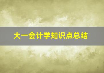 大一会计学知识点总结