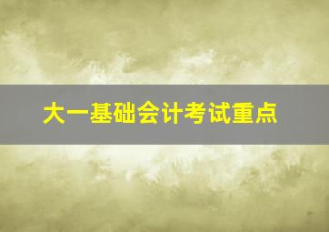 大一基础会计考试重点