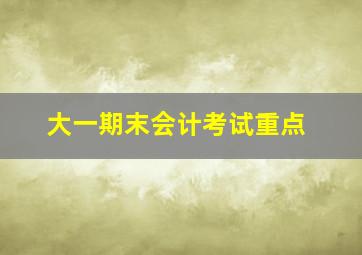 大一期末会计考试重点