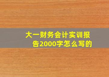 大一财务会计实训报告2000字怎么写的