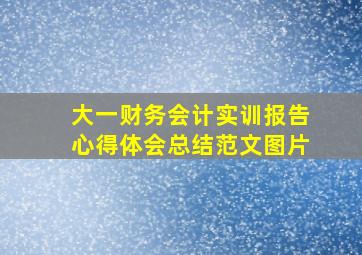 大一财务会计实训报告心得体会总结范文图片