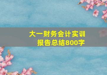 大一财务会计实训报告总结800字