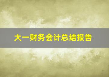 大一财务会计总结报告