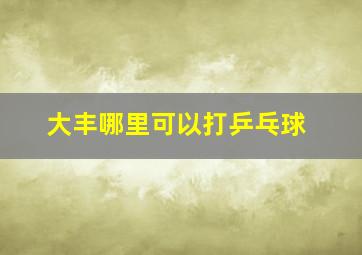 大丰哪里可以打乒乓球