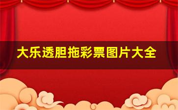 大乐透胆拖彩票图片大全