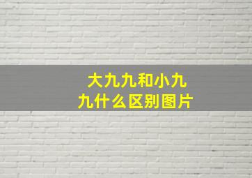 大九九和小九九什么区别图片