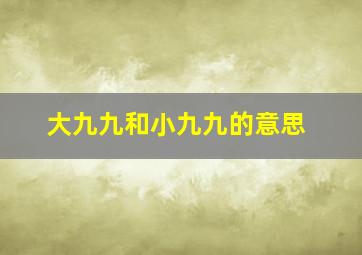 大九九和小九九的意思