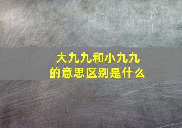 大九九和小九九的意思区别是什么