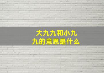 大九九和小九九的意思是什么