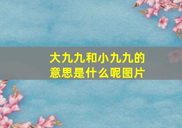 大九九和小九九的意思是什么呢图片