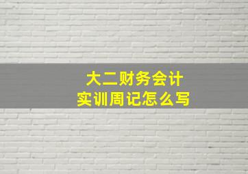 大二财务会计实训周记怎么写