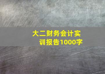 大二财务会计实训报告1000字