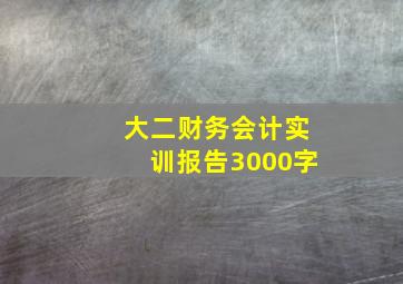 大二财务会计实训报告3000字