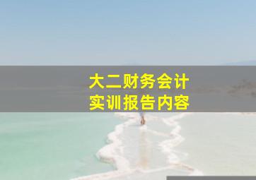 大二财务会计实训报告内容