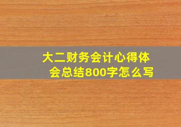 大二财务会计心得体会总结800字怎么写